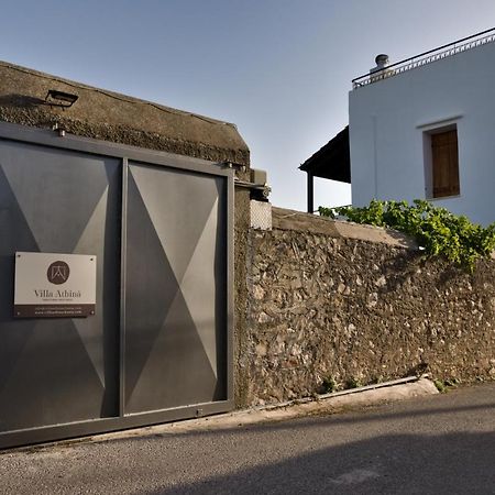 Villa Athina Megala Chorafia Bagian luar foto