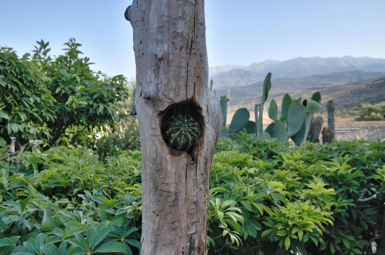Villa Athina Megala Chorafia Bagian luar foto